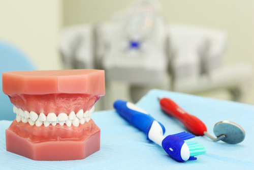 Artificial,Jaw,,Tooth,Brush,And,Dental,Tool,Are,On,Table